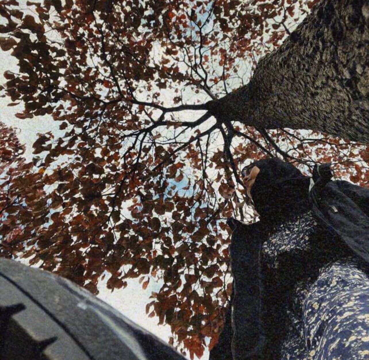 testimoni dari peserta tahsin online 